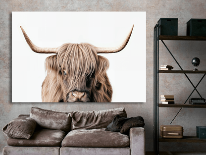 Highland Cow Closeup Wall Art