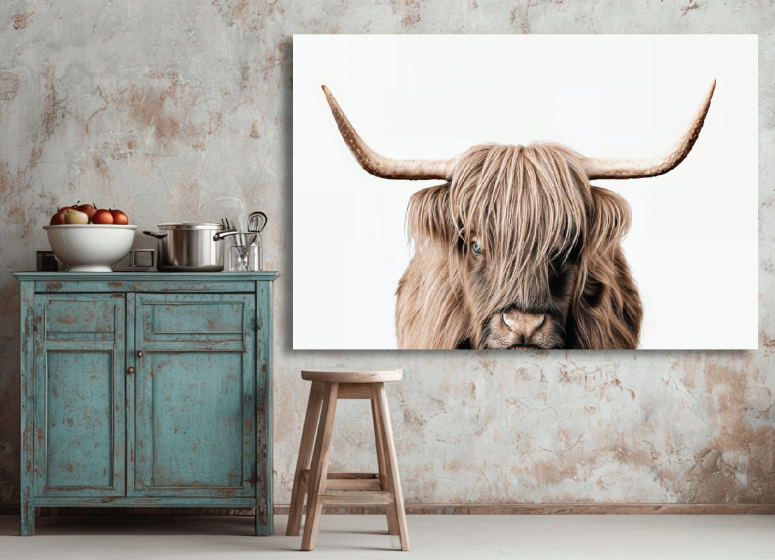 Highland Cow Closeup Wall Art