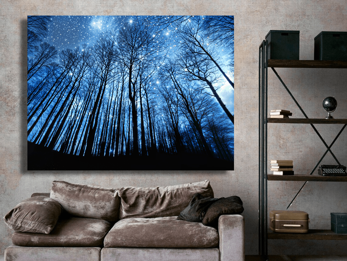 Starlit Trees in Silence Wall Art