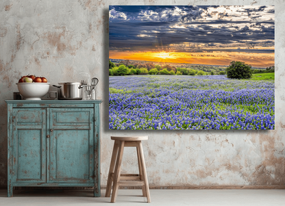 Sunlit Bluebonnet Field Serenity Wall Art