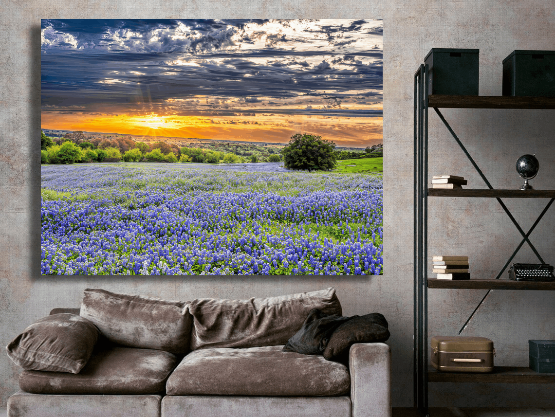 Sunlit Bluebonnet Field Serenity Wall Art