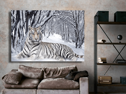 Tiger's Grace in Winter Snow Wall Art