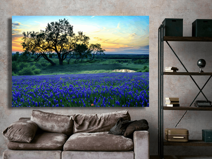 Twilight Over Bluebonnet Fields Wall Art